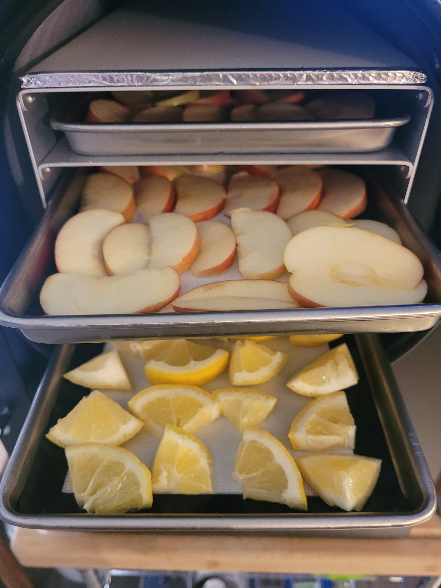 Freeze dried Apple Chips