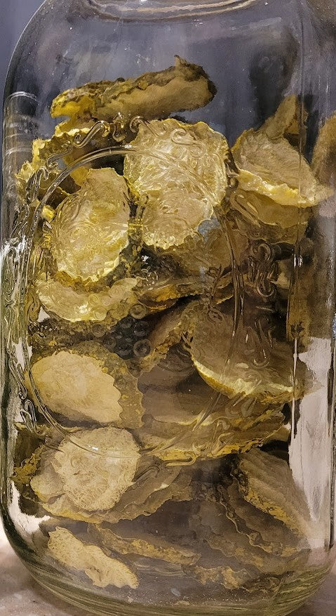 B and B Chips