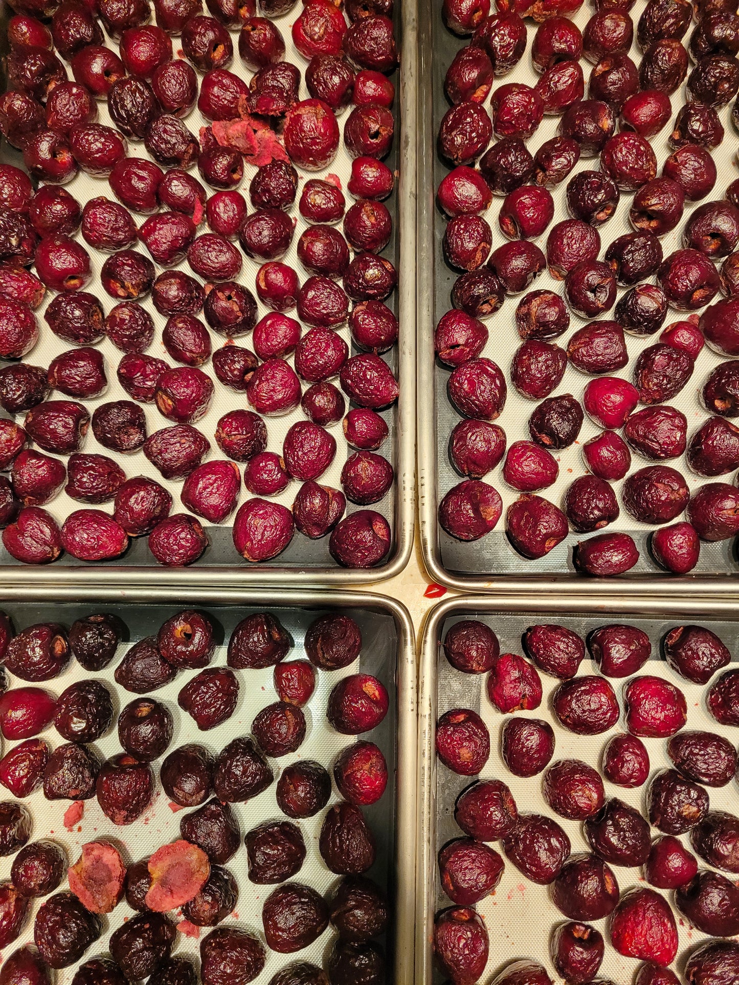 Freeze-dried Cherries