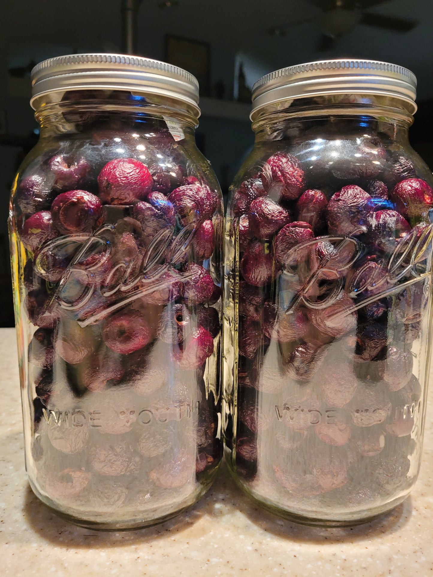 Freeze-dried Cherries