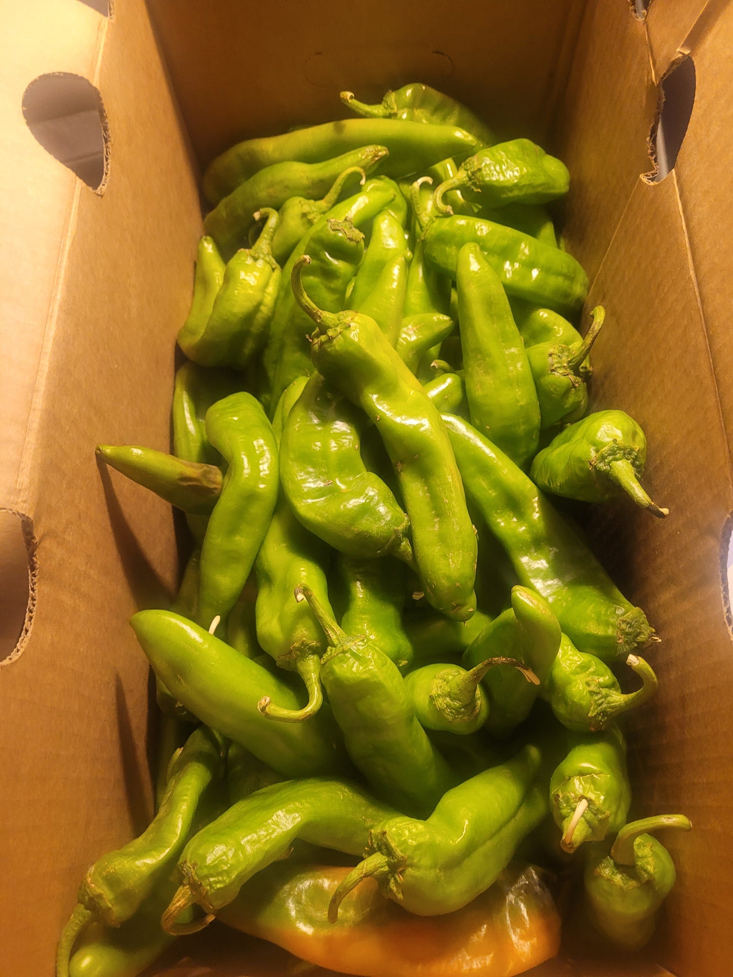 Hatch green chilis